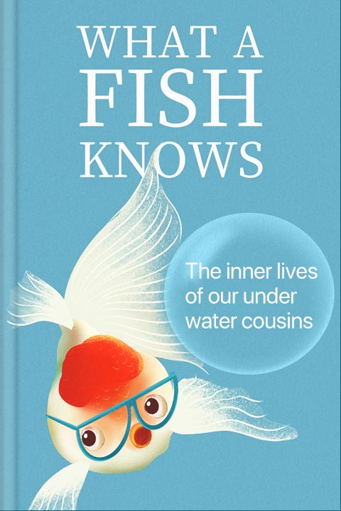 What a fish knows