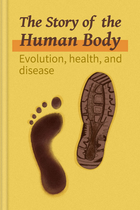The Story of the Human Body