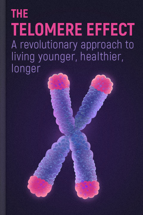 The Telomere Effect