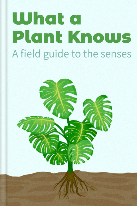 What a Plant Knows