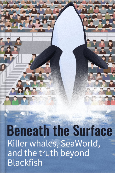 Beneath the Surface