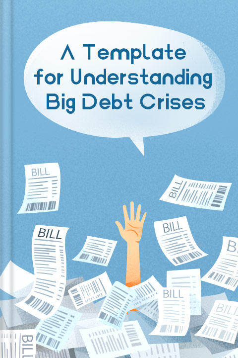 A Template for Understanding Big Debt Crises