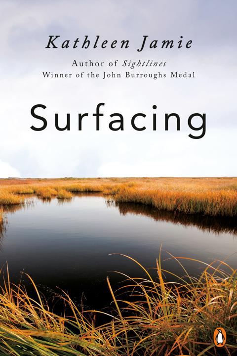 Surfacing by Kathleen Jamie