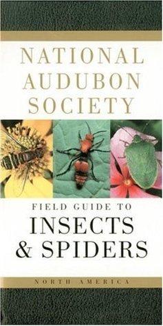 National Audubon Society Field Guide To Insects And Spiders